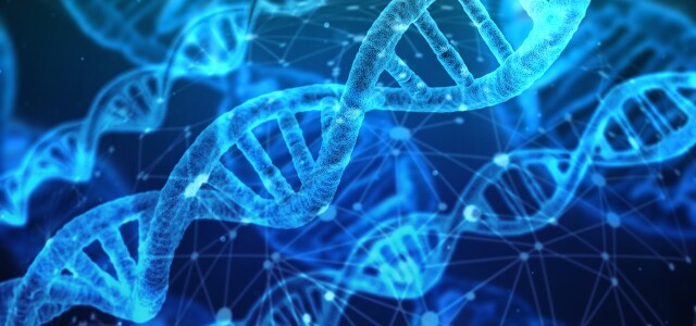 Kaksoiskierteinen DNA