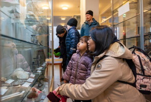 Ihmisiä eläinmuseossa katsomassa vitriinissä olevia kokoelmia, etualalla lapsi ja aikuinen.