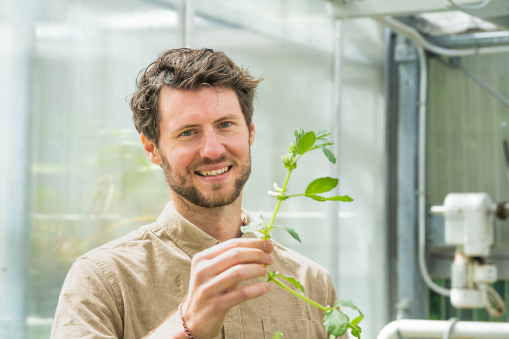 Benjamin Fuchs pitää kasvia kädessään tutkimuskasvihuoneessa.