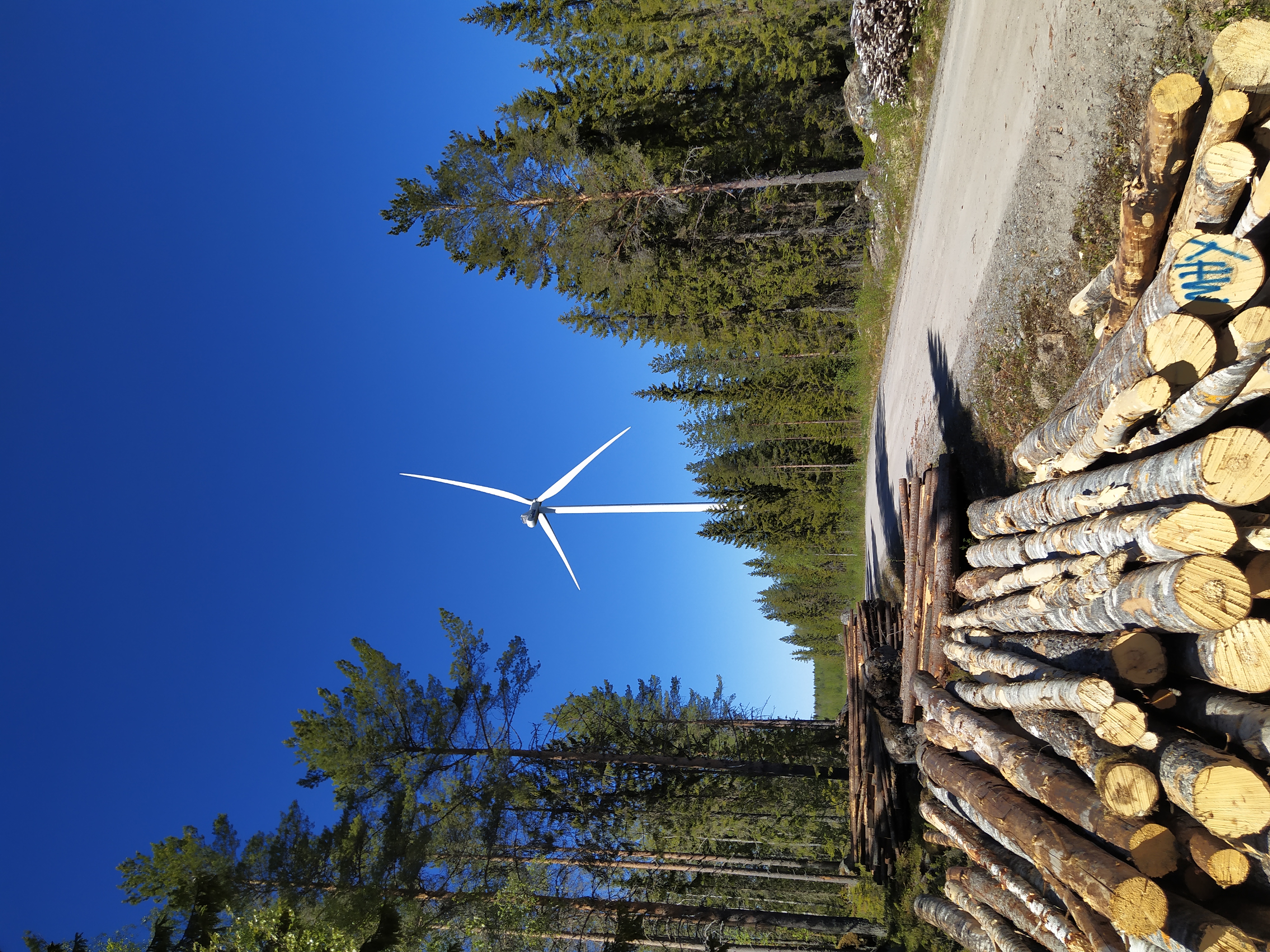 Aukeaa maastoa metsäalueelle rakennetun tuulivoimalan ympärillä.