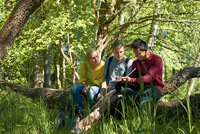 Finnish university students studying in the middle of the nature.
