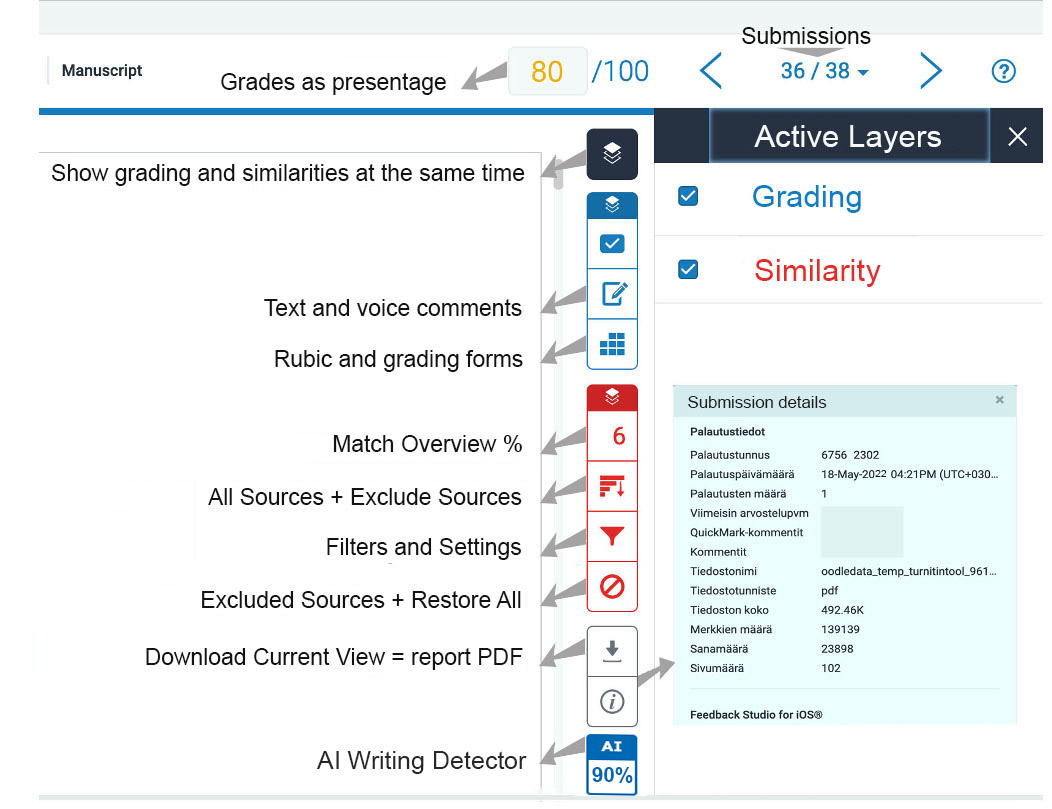 Turnitin report evaluation tools are used from the Red Similarity tab menu and the Blue Review tab menu. The black tab selects the display mode either to separate or to combine the red and blue levels.