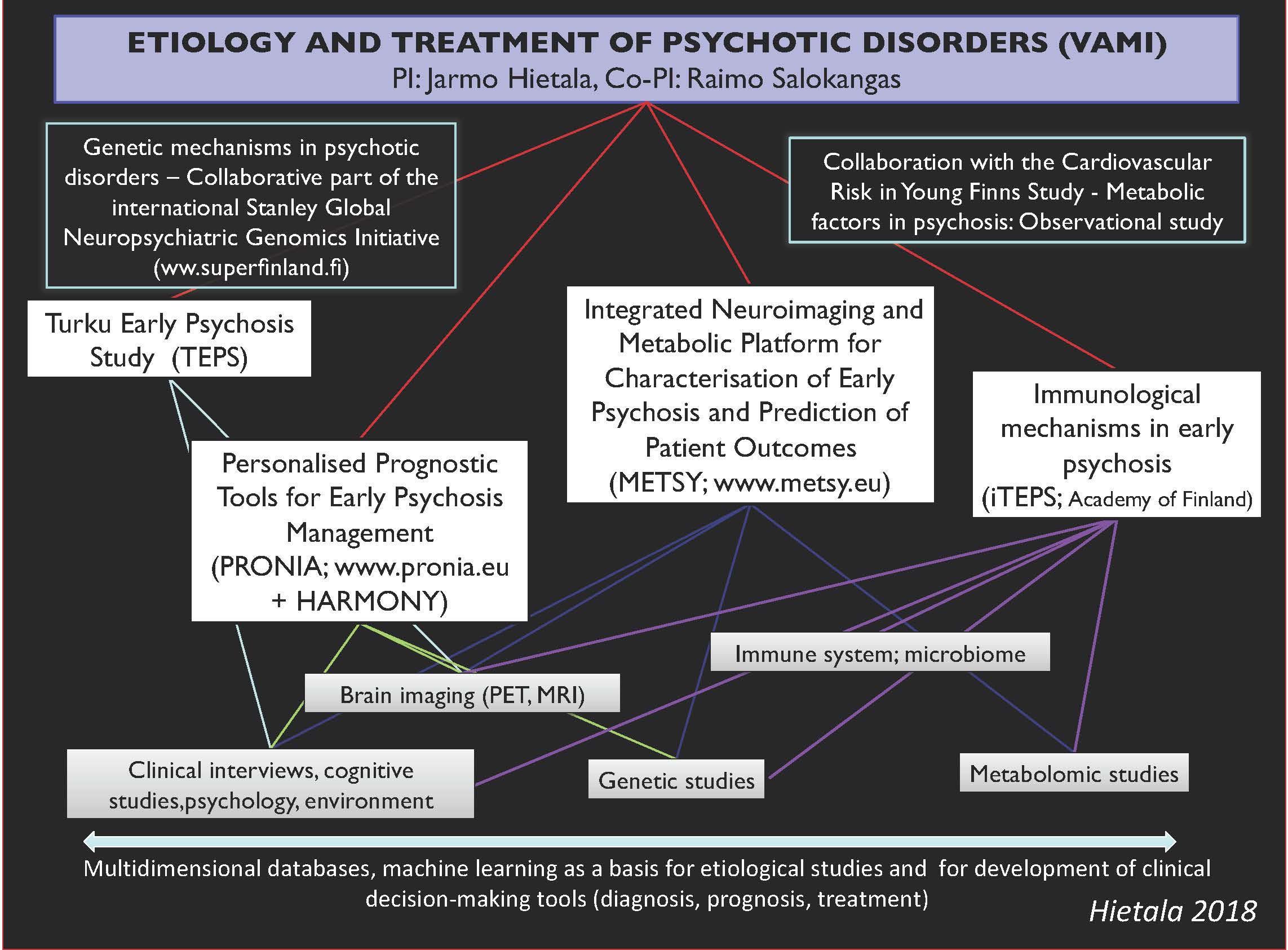 Vakavien Mielenterveyshäiriöiden etiologia ja hoito