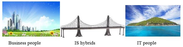 IS hybrids