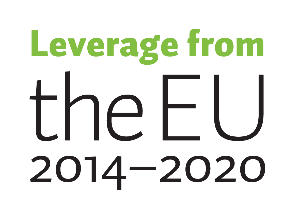 Leverage from the EU logo