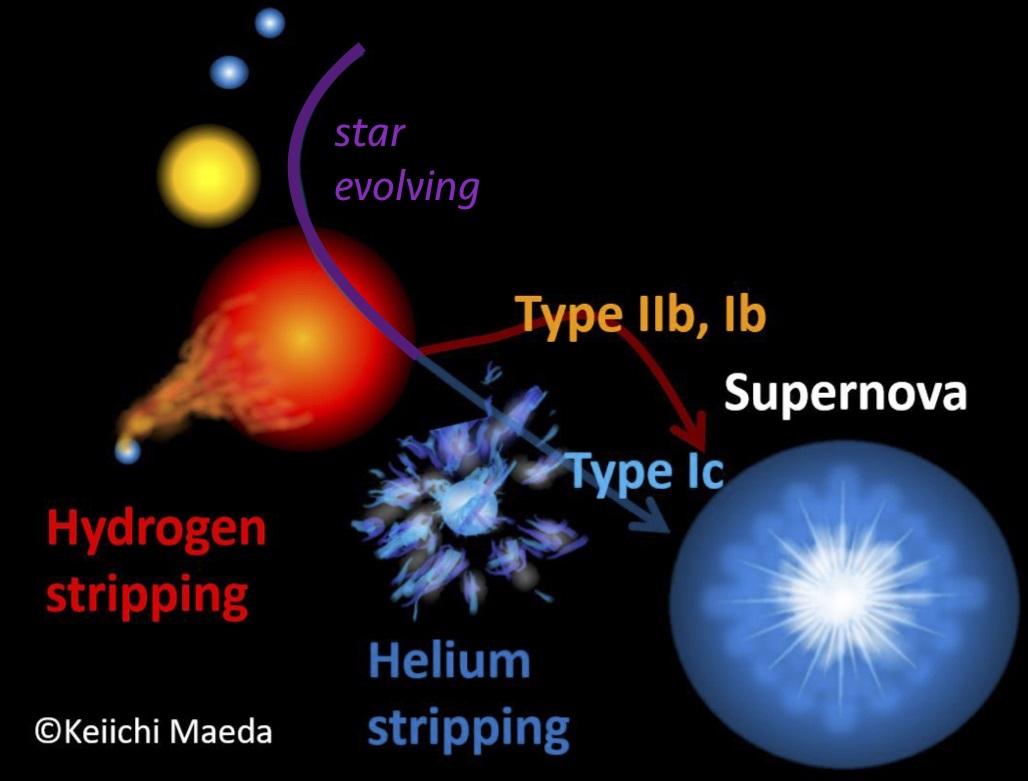 Supernova