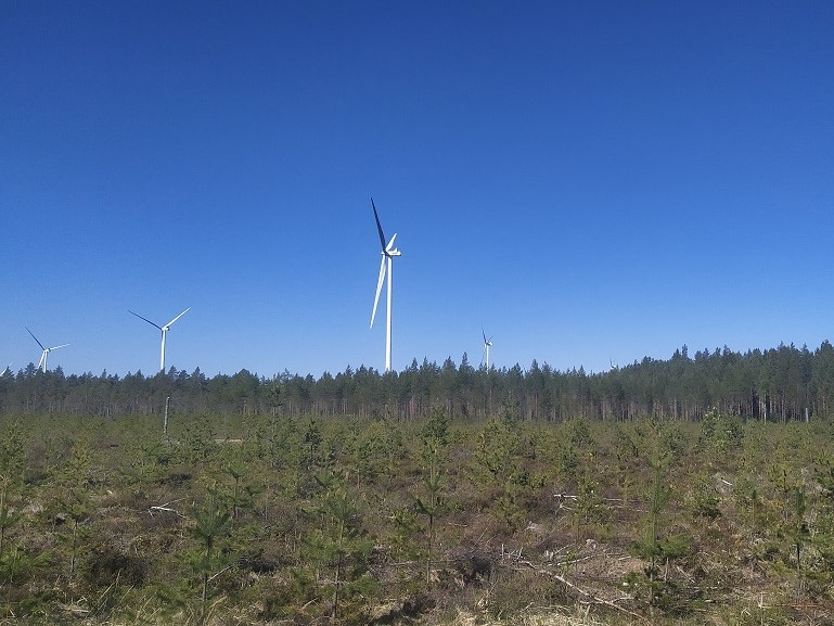 Tuulivoimaloita lakiakankaan tuulipuistossa