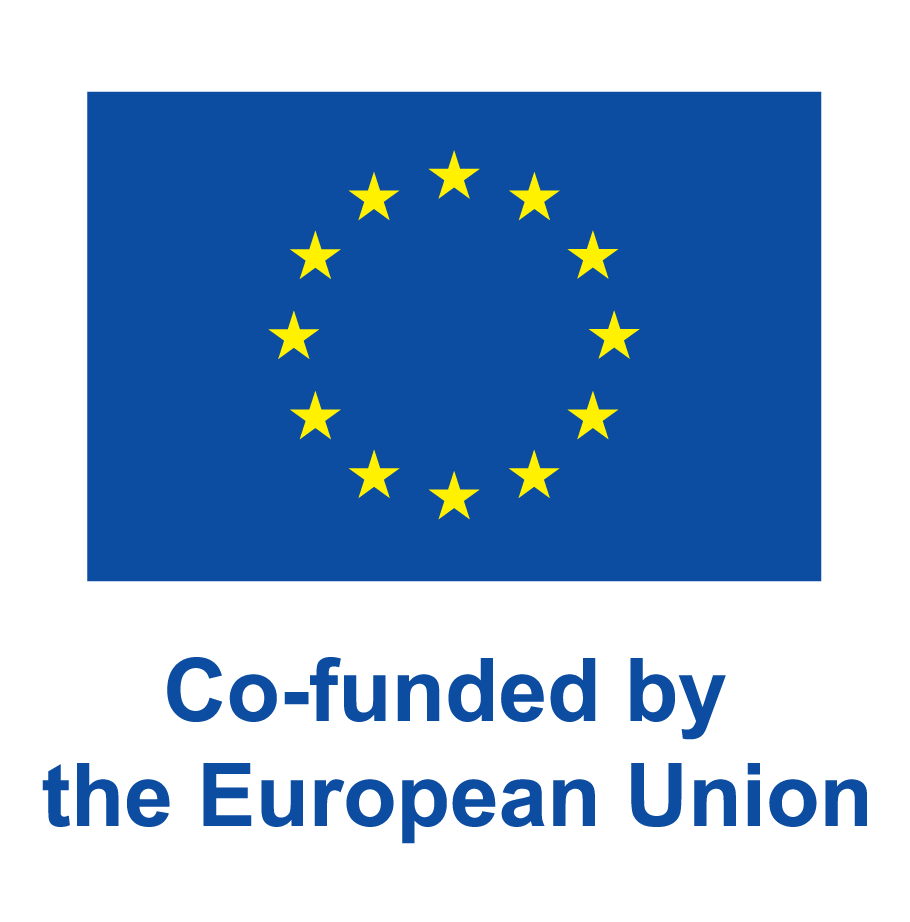 Co-funded by the EU