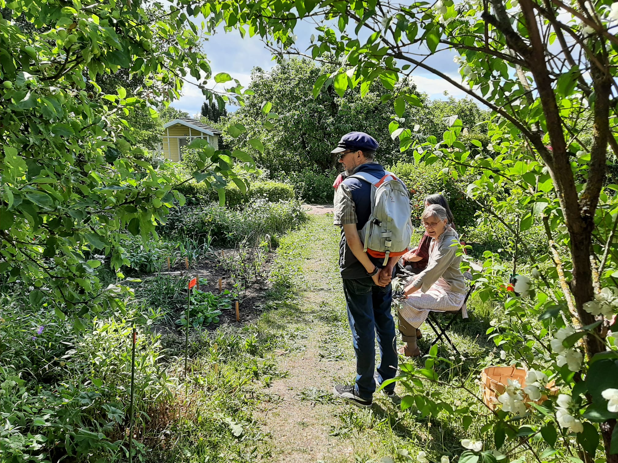 Vierailijoita Kupittaan siirtolapuutarhan yhteisviljelyalueella. 