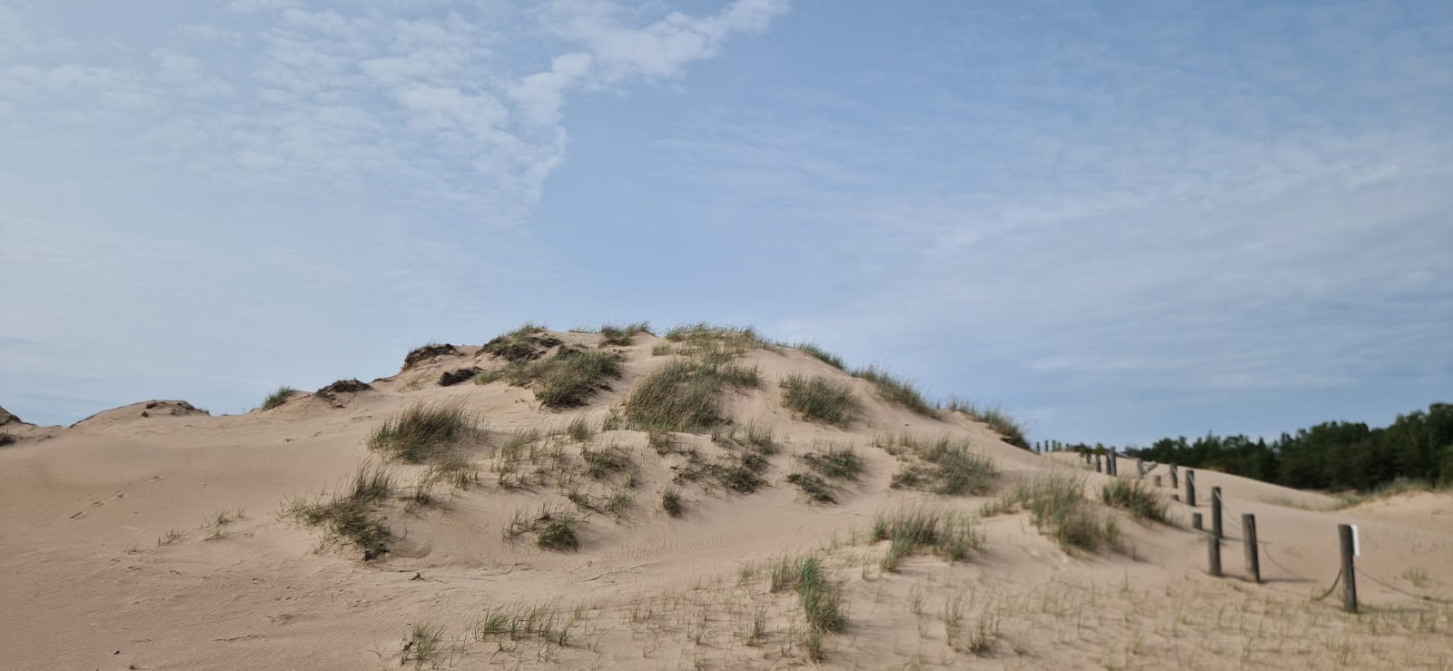 Staff week 2025 Yyteri beach