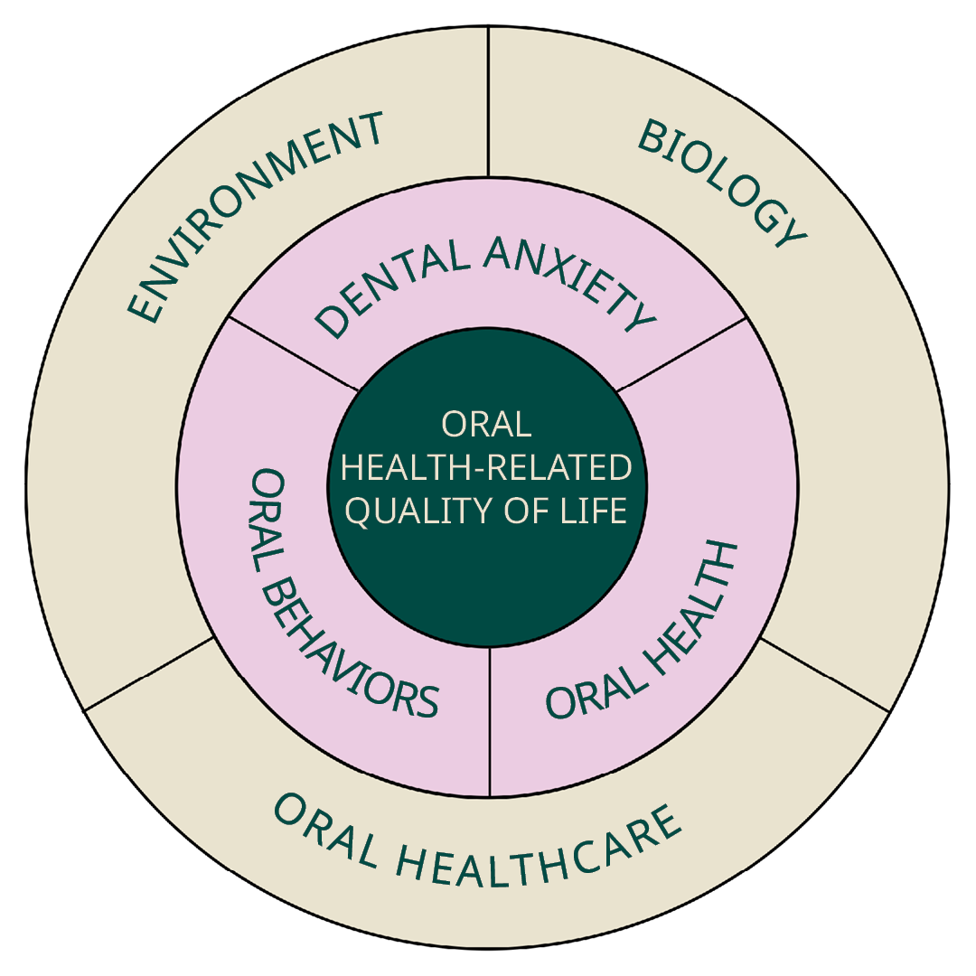Ympyräkaavio, jossa ulkokehällä lukee environment, biology ja oral healthcare, sisemmällä kehällä dental anxiety, oral behaviours ja oral health, ja keskellä oral health-related quality of life
