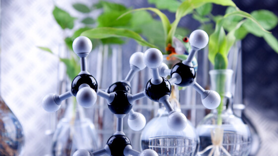 Etualalla molekyylejä. Taka-alalla koeputkia ja kasveja.