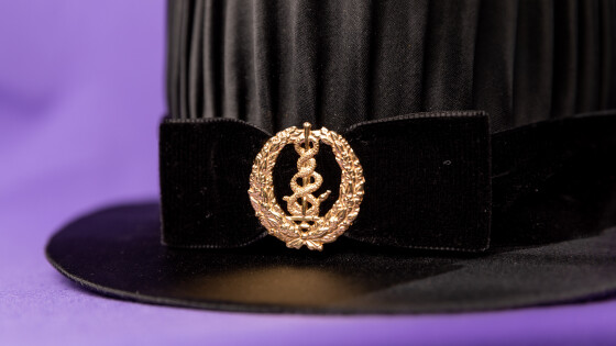 Tohtorinhattu jossa lääketieteen lyyra.