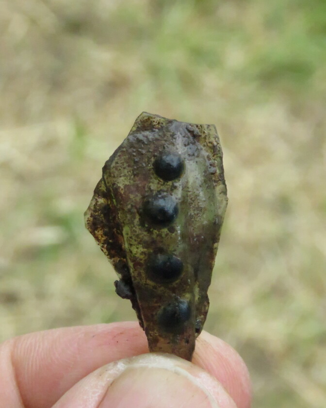 koroinen 3