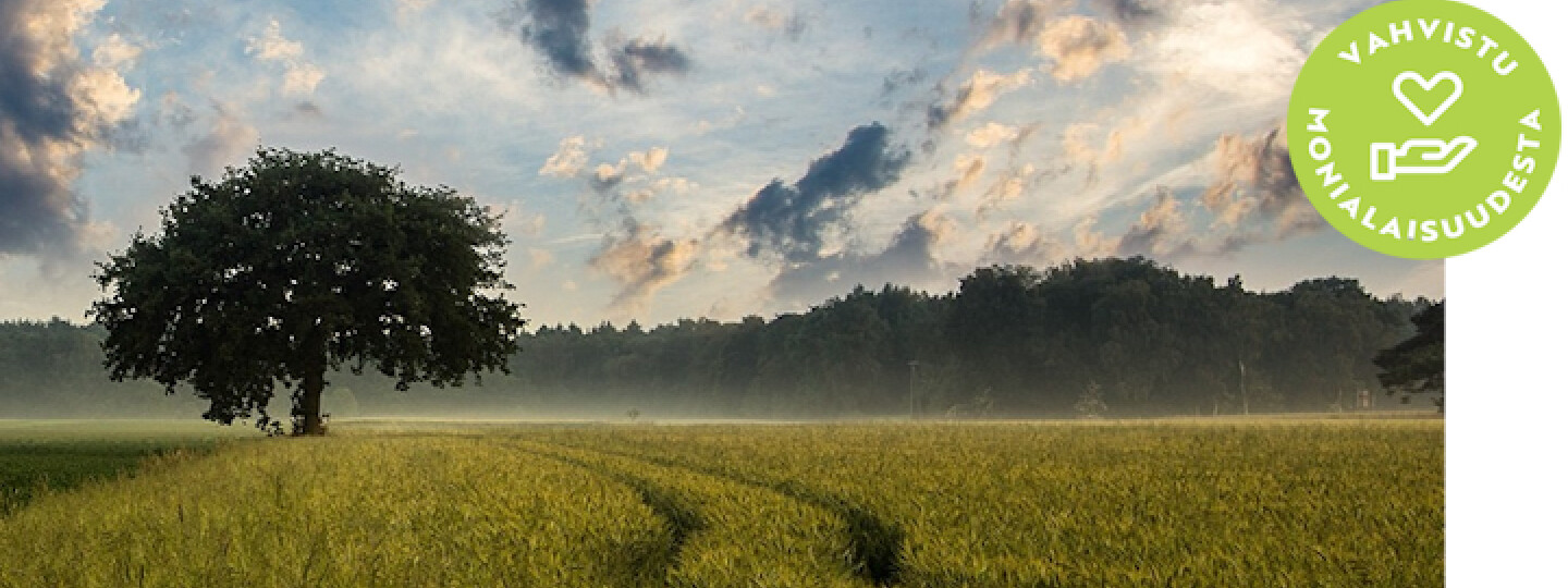 Opintojaksokuva Sote-akatemia Alkoholin riskikäytön puheeksiotto