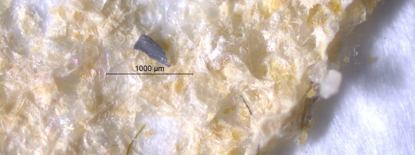 Pohjakerrosten sedimenttinäytteistä eristetty mikromuovihiukkanen