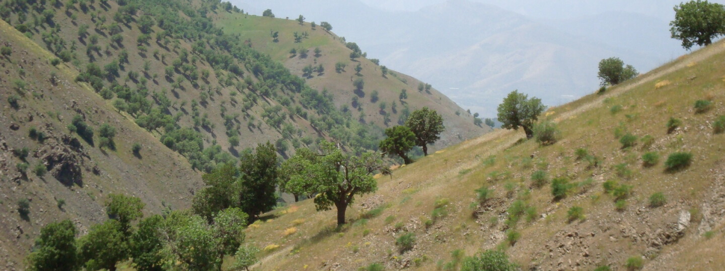 Mawat, Zagrosin vuoristo / Mountains in Mawat