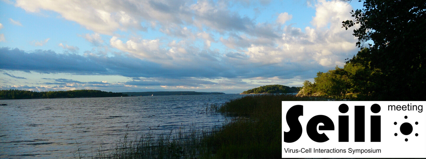 seili virus interactions 2