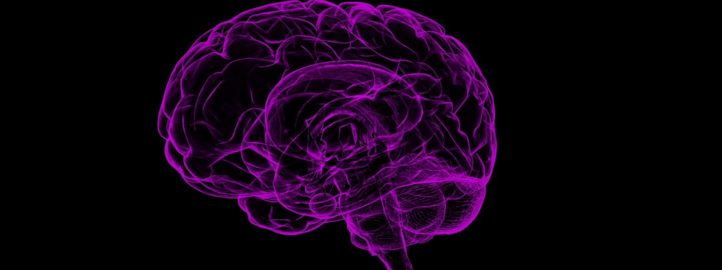kuvituskuva piirretyistä violeteista aivoista