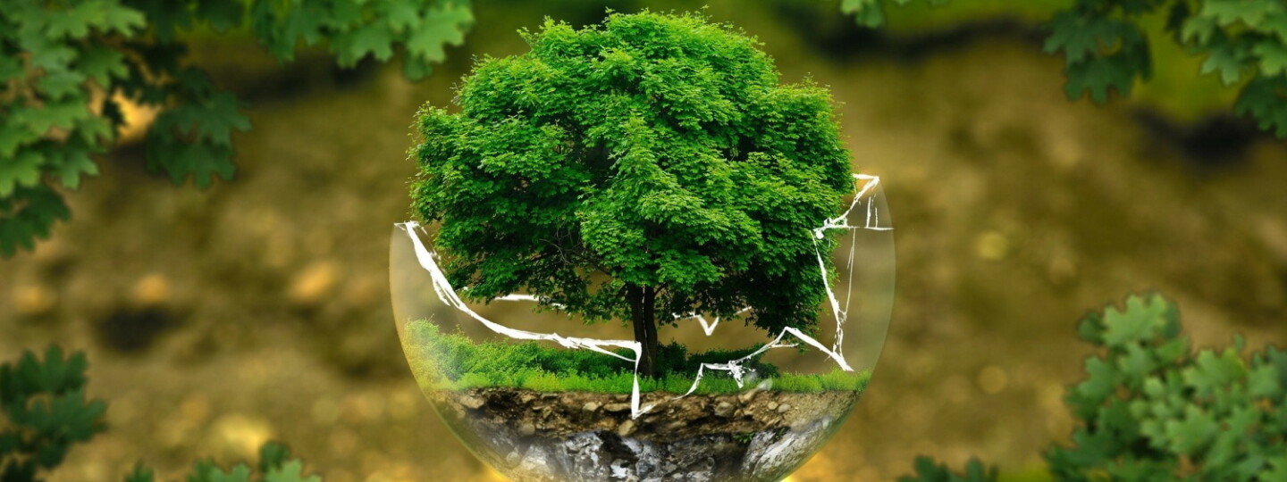 Ympäristönsuojelua symboloiva kuva lehtipuusta risaisessa lasipallossa.