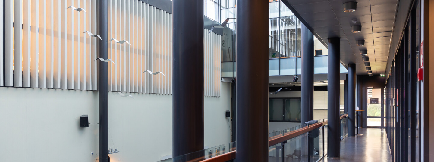 Turun kauppakorkeakoulu