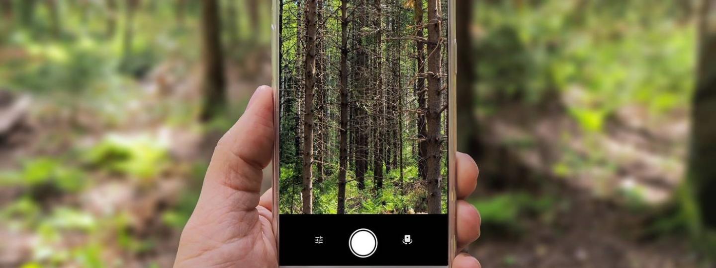 Metsän kuvaaminen kännykällä