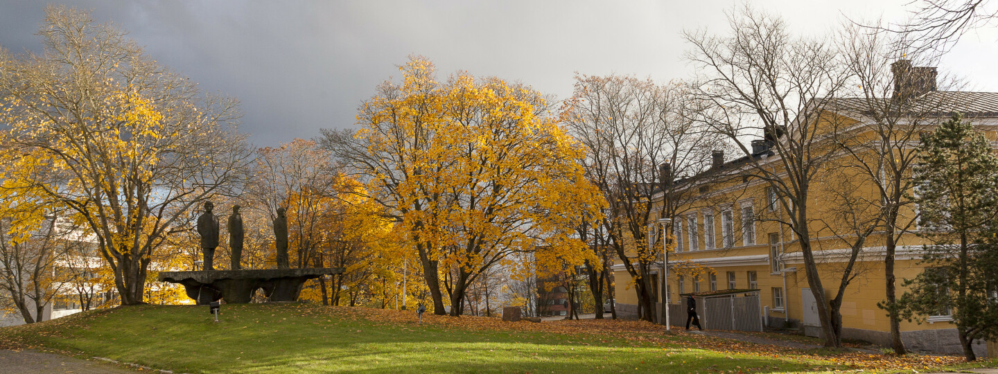 University hill in autumn