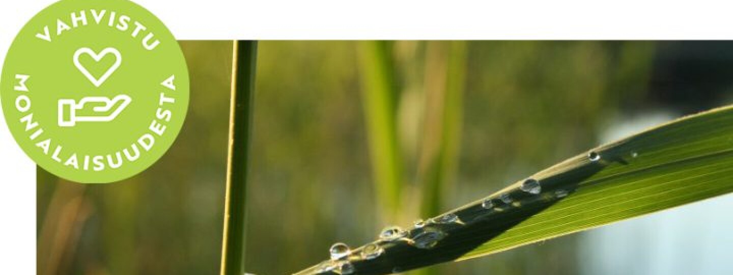 Luontoperustainen hyvinvointi