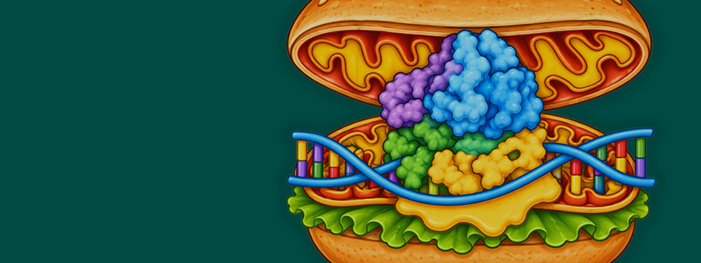 Science Sandwich kuvituskuva