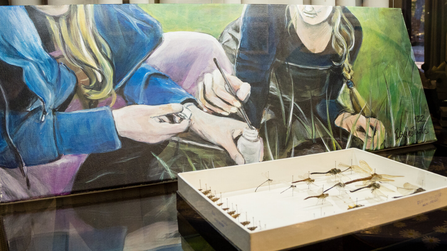 kuvan taka-alalla Radka Tuháčková-Vogelin maalaus kuvaa tiedemiehiä työskentelemässä kevätaltaassa, ja maalauksen edessä kuvan etualalla pienessä vitriinissä aiotja näytteitä hyönteisistä