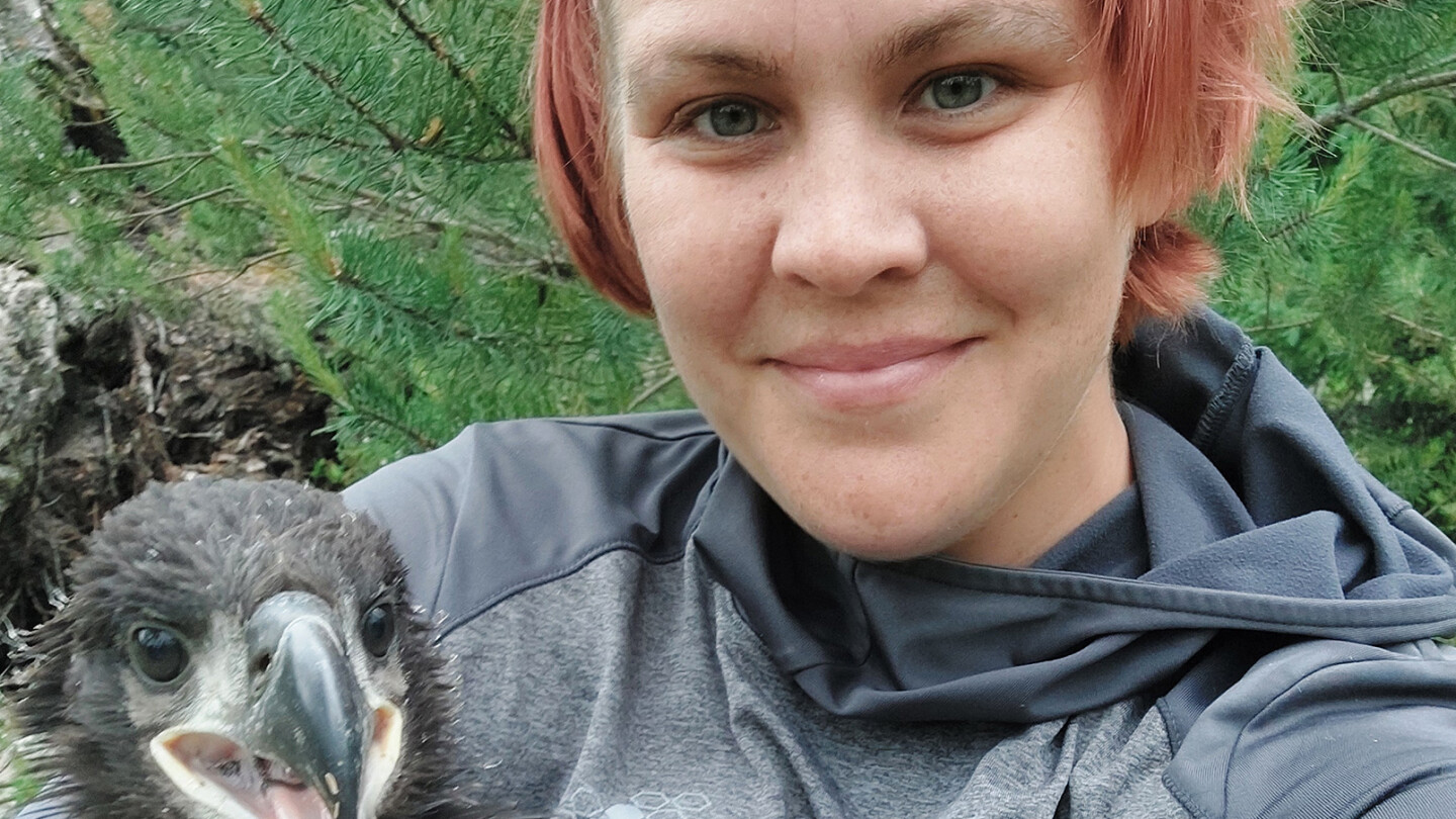 Merikotkan poikanen tutkijan kainalossa ja tutkija ottaa itsestään ja kotkanpoikasesta selfietä hymyillen kameraan.
