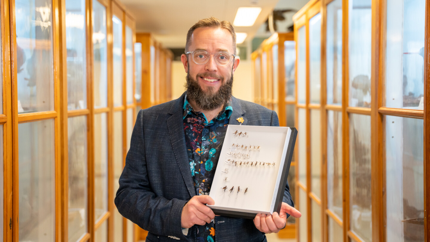 Professori Ilari Sääksjärvi eläinmuseossa esittelemässä hyönteisiä.