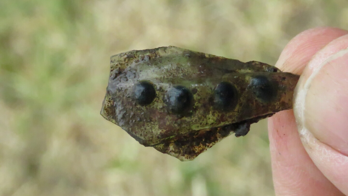 koroinen 3