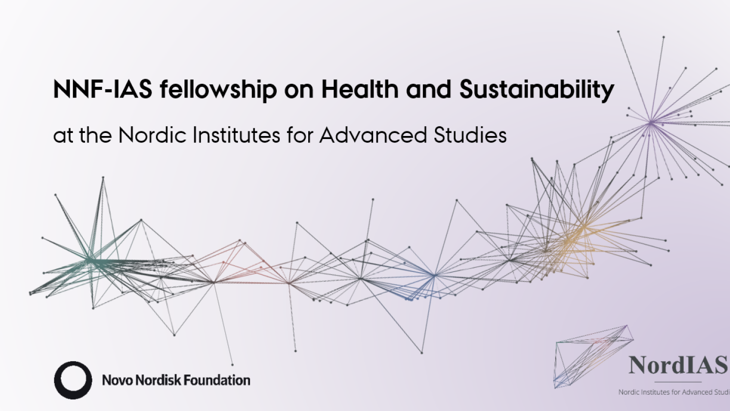 NNF-IAS fellowship programme logo