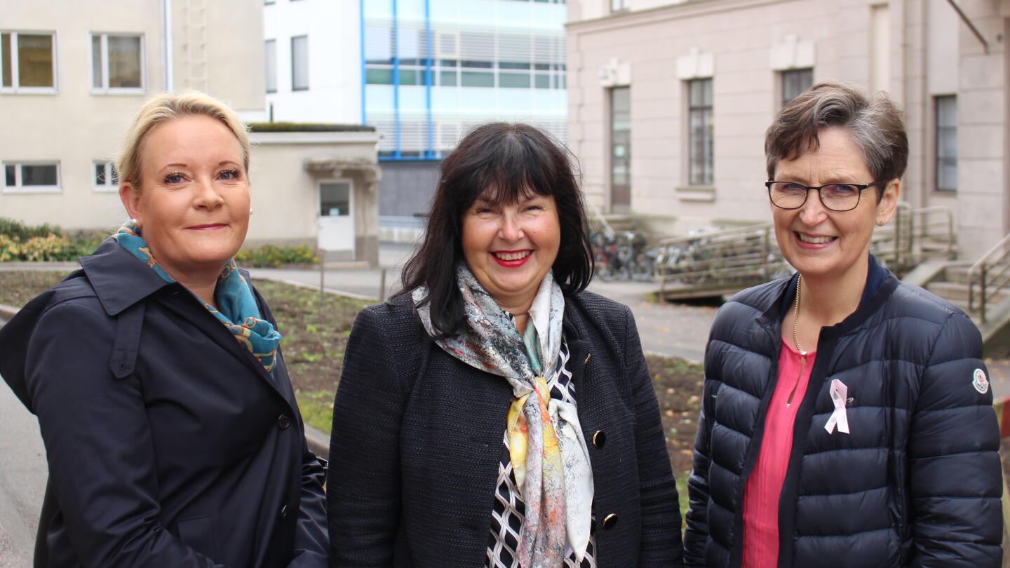 Pia Vihinen, Mervi Siekkinen ja Sirkku Jyrkkiö