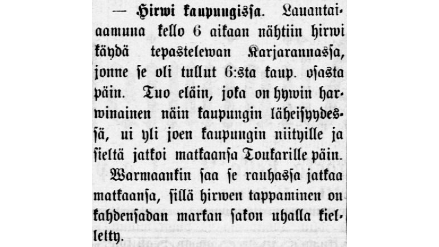 Kuvassa kappale digitoidusta vanhasta Porilainen-sanomalehdestä vuodelta 1894. Kappale on kirjoitettu vanhanaikaisella suomenkielellä ja kirjaisintyylillä. Kappaleessa kerrotaan kuinka kaupungissa on nähty hirwi, joka on hywin harwinainen kaupunkien läheisyydessä ja arvellaan, että warmaankin saa se rauhassa jatkaa matkaansa, sillä hirwen tappaminen on kahdensadan markan sakon uhalla kielletty.