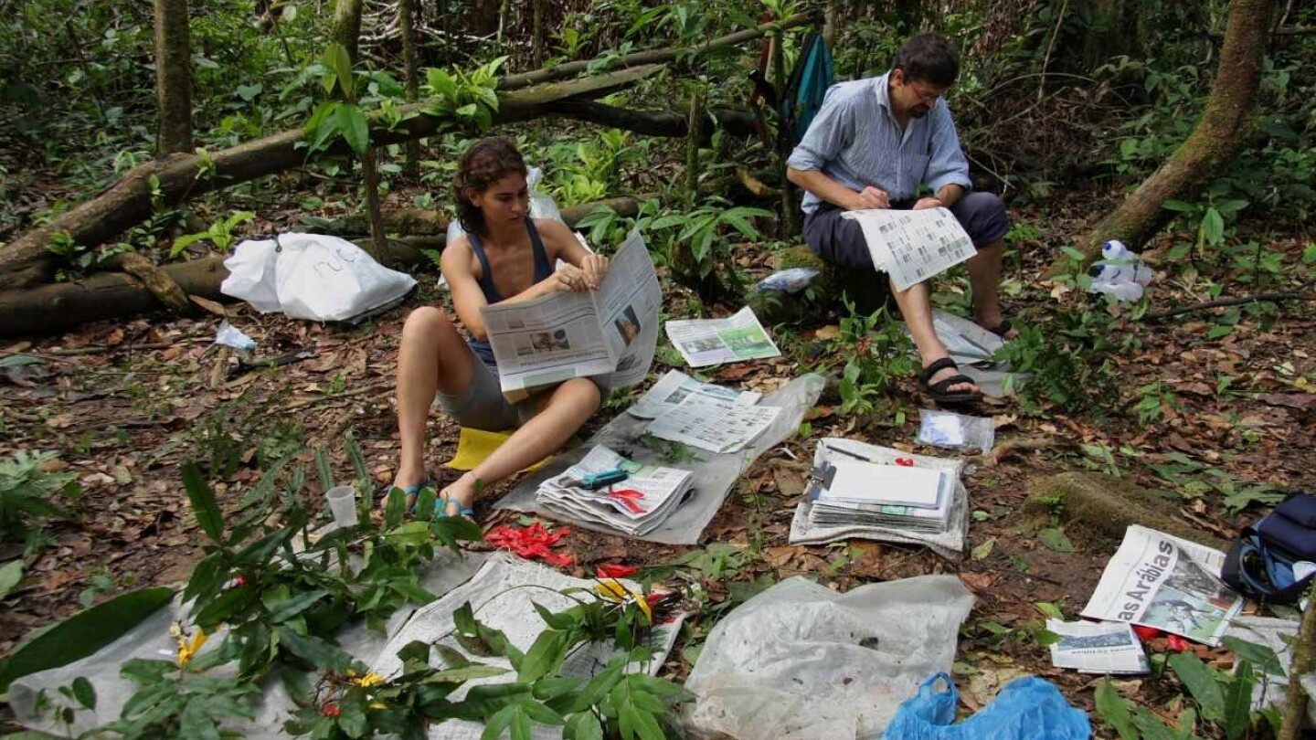 Gabriela Zuquim ja Kalle Ruokolainen keräämässä saniaisnäytteitä Brasilian Amazoniassa