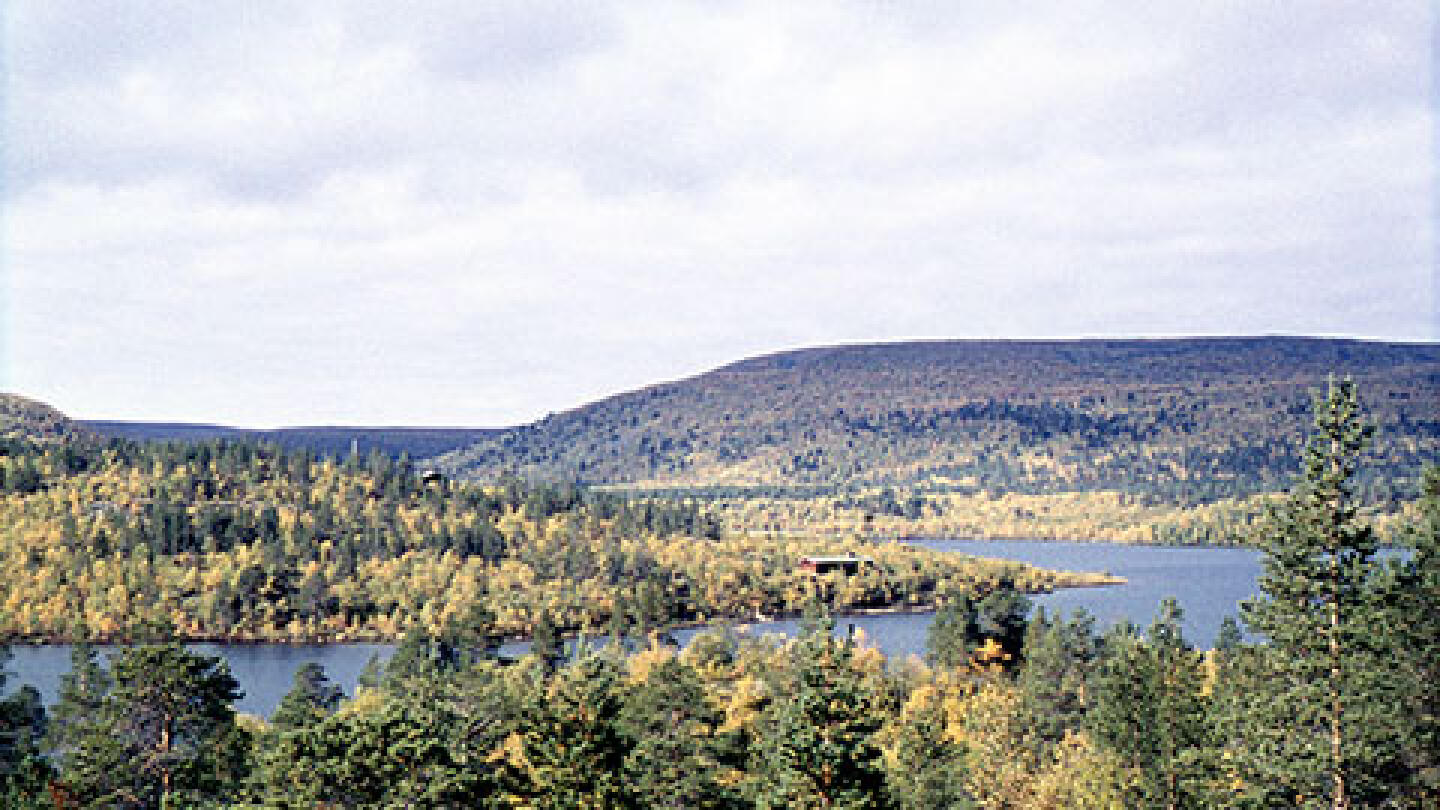 Kevoniemi ja Kevojärvi