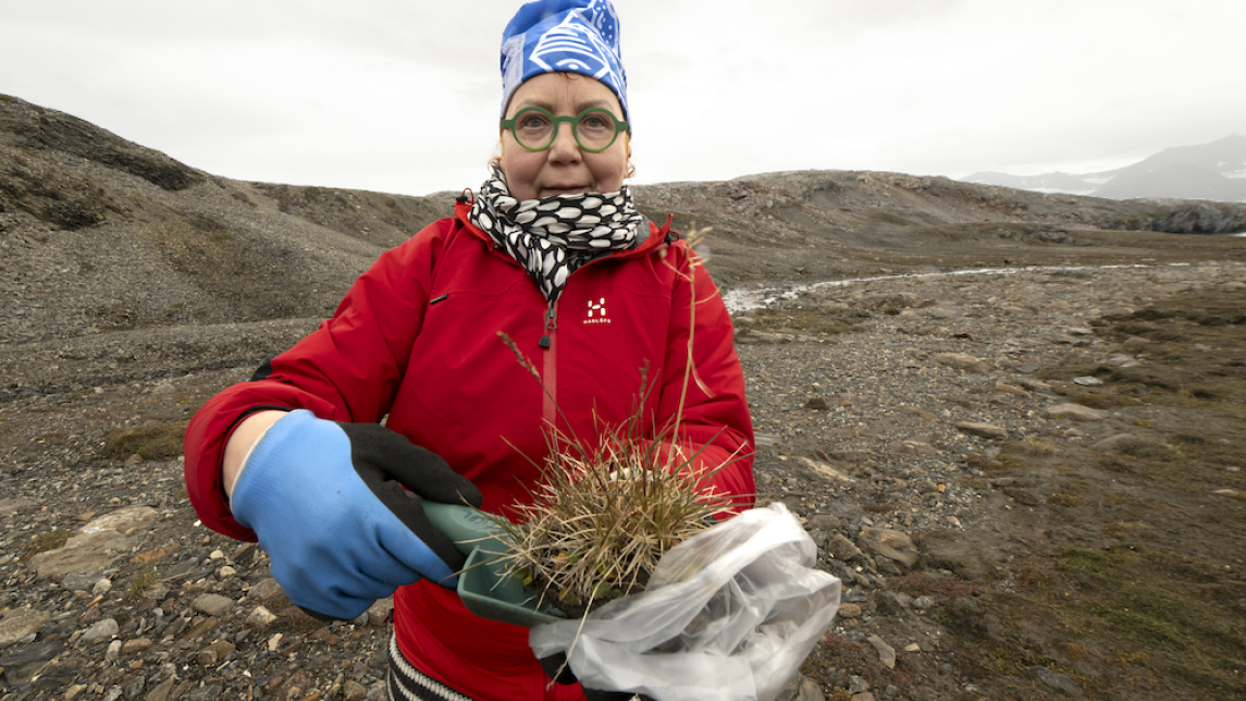 Marjo Helander keräämässä aineistoa Huippuvuorilla