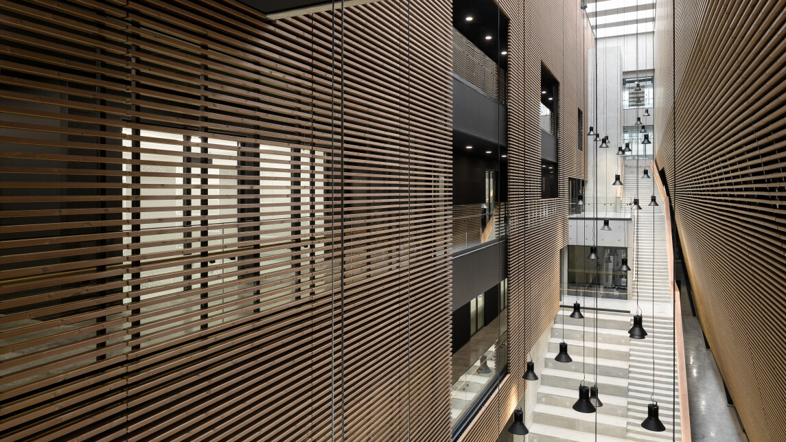 Aurumin aula ylhäältä