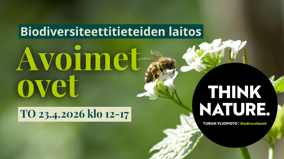 Avoimet ovet mainoskuva