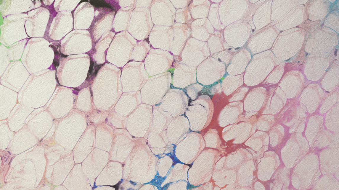 taiteellinen kuvaus rasvasolukosta