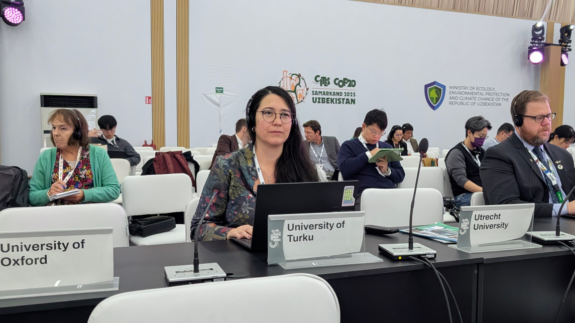 Researcher Caroline Fukushima attending the CoP20 meeting as an observer. Rows of people sitting in a conference room, Caroline pictured in the front row