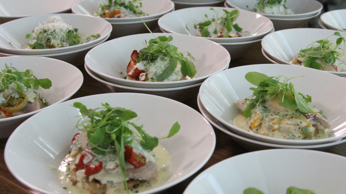 Lautasia, joilla ravintola-annokset