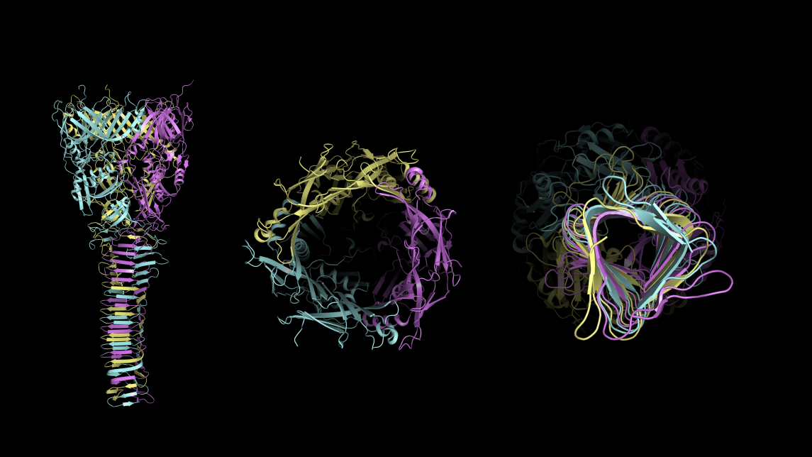 Microscopu image with molecules