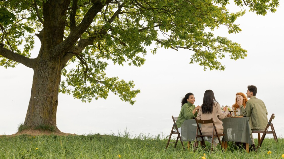 people having a picnic under a tree
