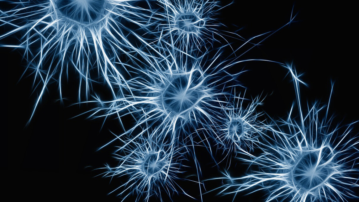 Neurotieteen avulla voi tutkia tietoisuutta