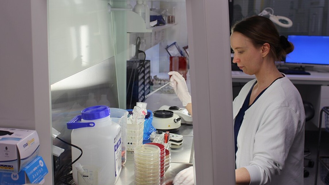 Laboratoriohoitaja työskentelee laboratoriossa.