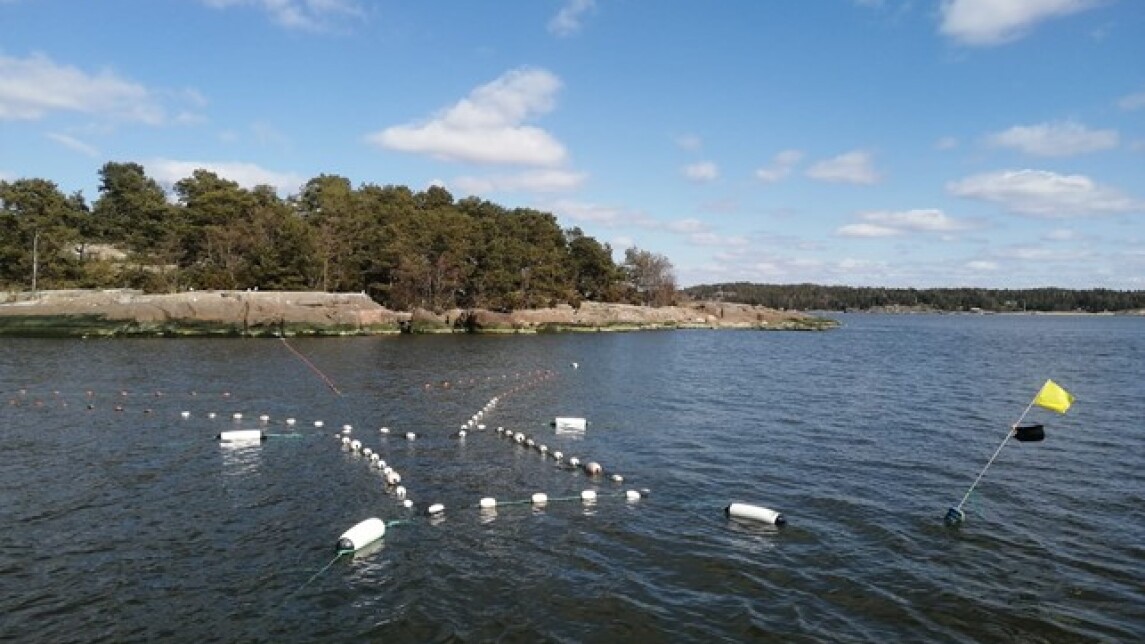 itämeri aurinkoisena kesäisenä päivänä
