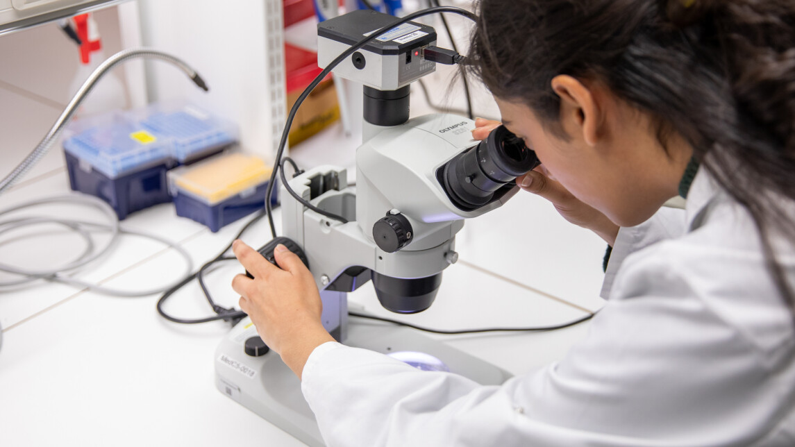 kuvituskuva laboratoriosta